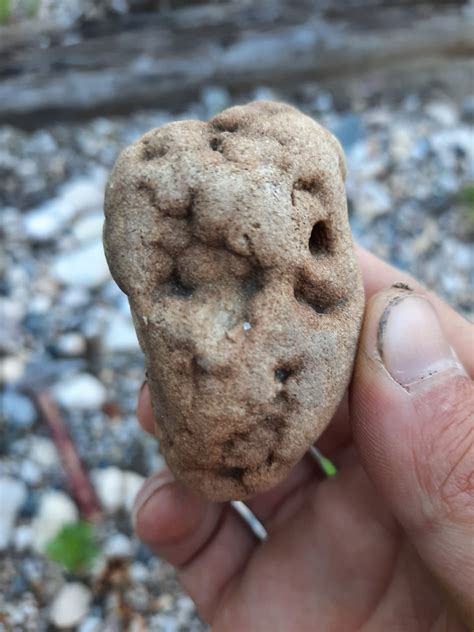 Hiked Rice River Canyon to find dinosaur bones, discovered rocks instead : r/rockhounds