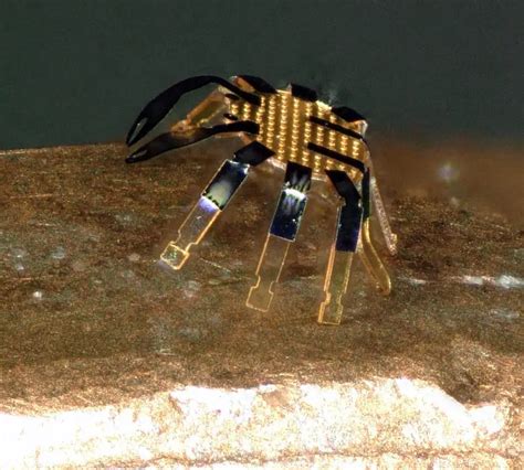 Image result for Mini Remote Control Robot