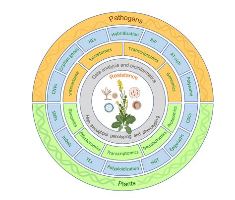 Genomic Variations and Mutational Events Associated with Plant–Pathogen ...