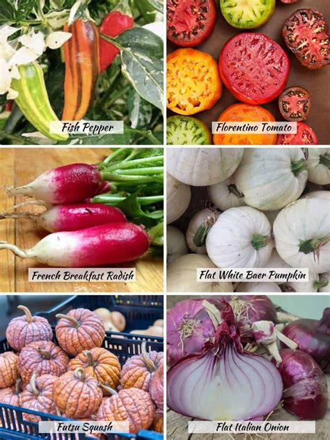 46 Vegetables that Start with F - Keeping the Peas