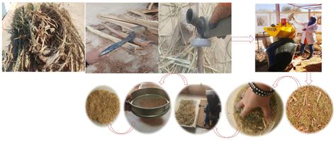 A Route for Bioenergy in the Sahara Region: Date Palm Waste ...