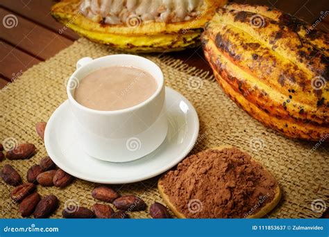 Hot Chocolate Drink, Raw Cocoa Fruit, Cacao Beans, Powder Stock Image ...