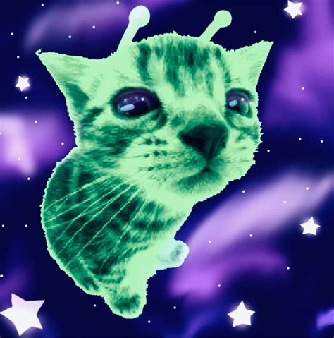 Image result for Alien Scene Cat