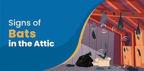 How to Get Rid of Bats in Attic For Good [Without Killing]