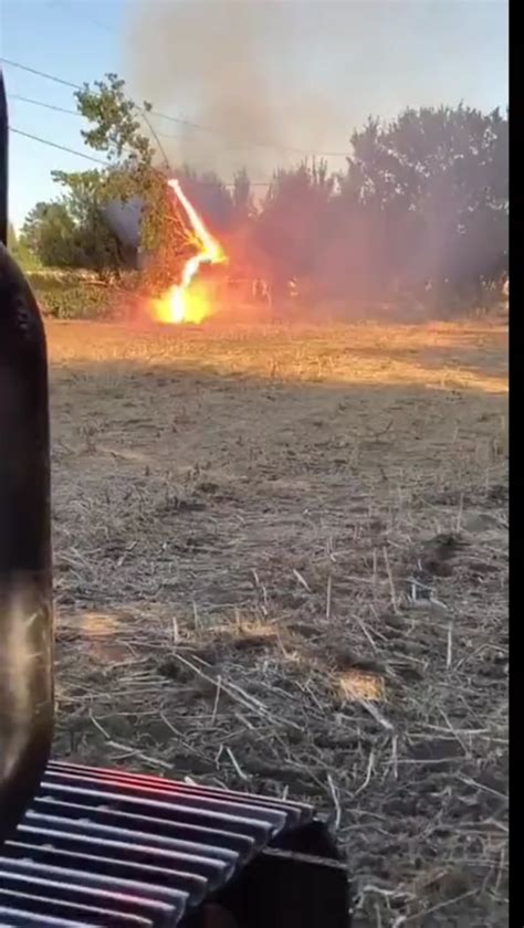 Image result for Tree Falling Hit Power Line