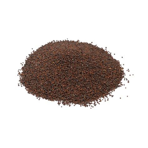 Black Mustard Seeds – Spice Nest
