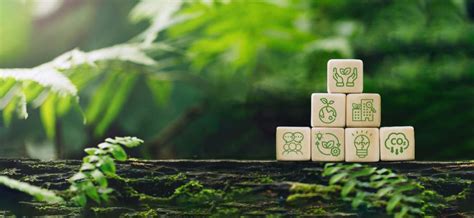 Savills India | Implementing Sustainability Strategies for Businesses