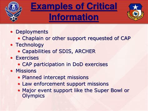 Critical Information Example OPSEC 的图像结果