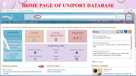 Image result for ExPASy Tutorial
