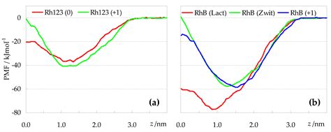 Interactions between Rhodamine Dyes and Model Membrane Systems—Insights ...