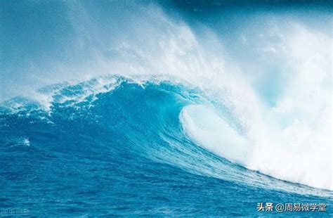 大海水命是什么意思（大海水命的含义）