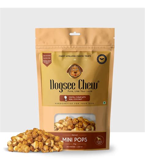 How Does Brain Training Improve Your Dog's Mental Health? | Dogsee