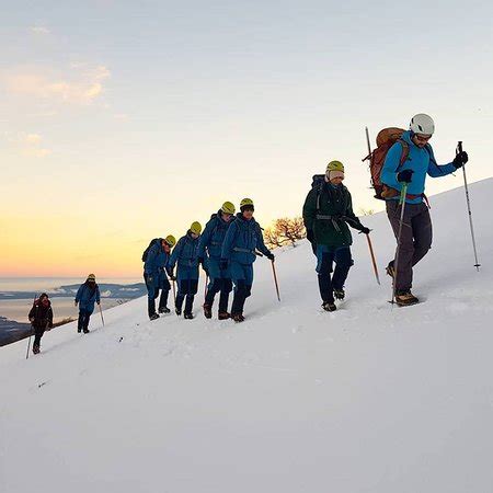 Monkey puzzle trees and snowy volcanoes - Reviews, Photos - Mawida ...