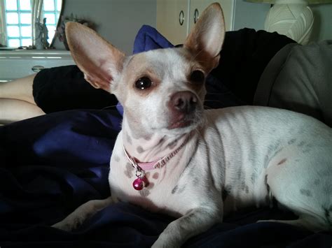 Image result for Activation Code Nexus 4