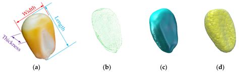 Study on Periodic Pulsation Characteristics of Corn Grain in a Grain ...