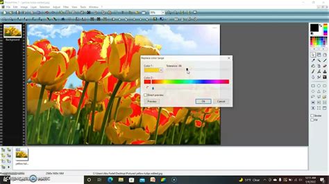 Image result for Tutorial PhotoFiltre