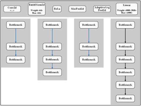 Classification of Tomato Fruit Using Yolov5 and Convolutional Neural ...