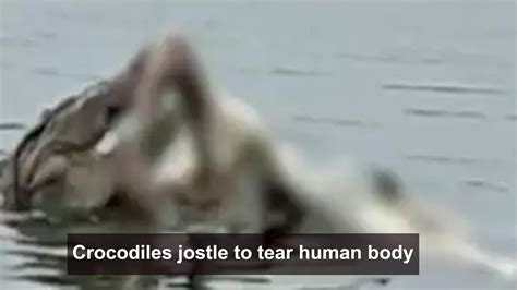 Vadodara: Crocs tear into human body in Narmada river