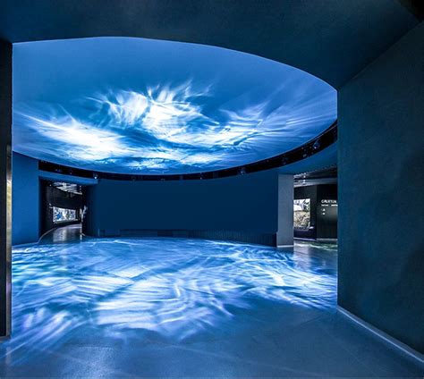 Musaeum 的图像结果