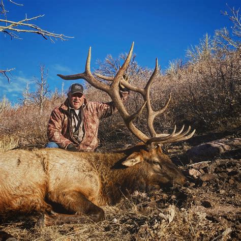 Fillmore Utah Elk Hunting at Lawrence Henderson blog