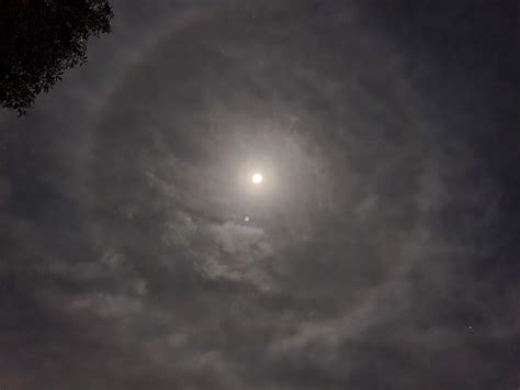 Cloud circle around the moon. : r/mildlyinteresting