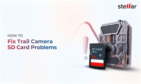 SD Card Format Problem 的图像结果