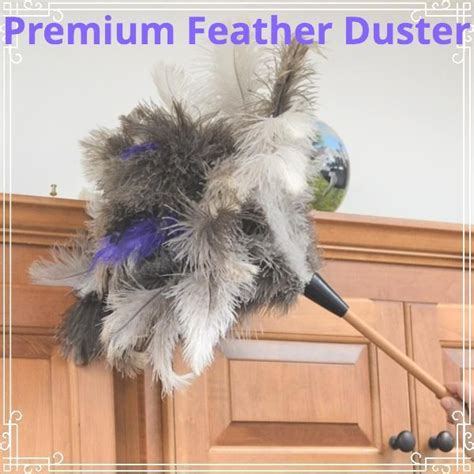 Using Feather Duster 的图像结果