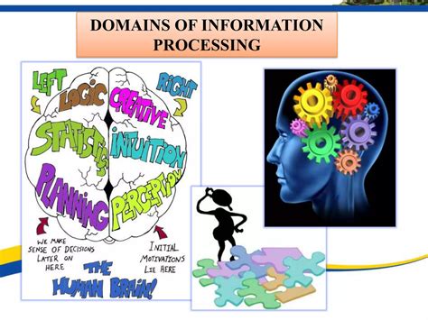 Image result for Information Processing in Computer