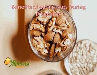 Benefits of Eating Nuts During Pregnancy? | AlphonsoMango.in