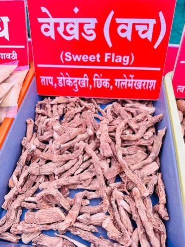 Dried Sweet Flag Roots Manufacturer, Supplier from Nashik