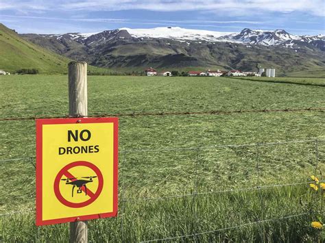 Image result for Non-Coding DNA PPT