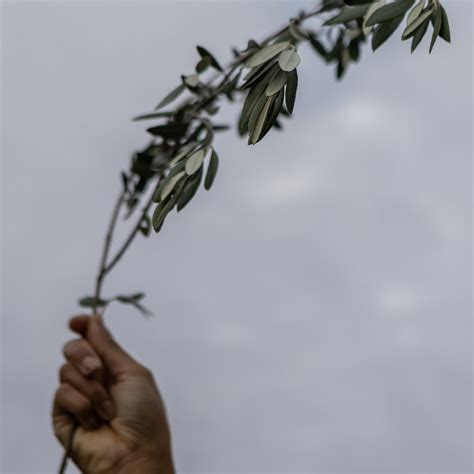 Aaron David Miller - The New York Times