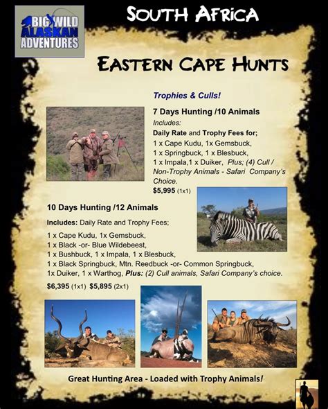 Image result for CBeebies Safari Promo