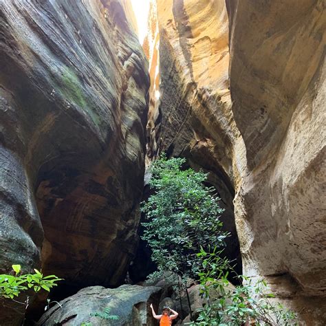 THE BEST Places to Visit in Serra da Capivara National Park (2024)