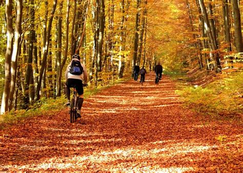 Image result for GoPro Mounted