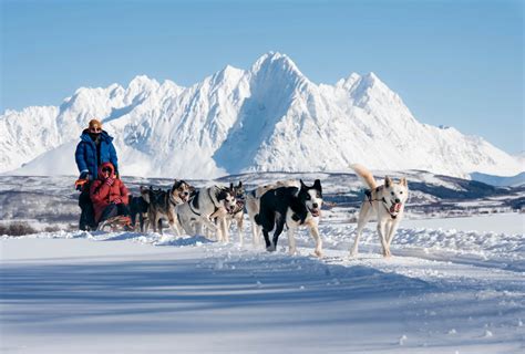 Experience Dog Sledding and Husky Tours in Norway | Hurtigruten