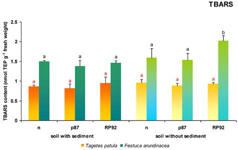 The Influence of Bottom Sediments and Inoculation with Rhizobacterial ...