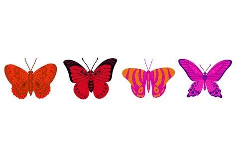 Image result for Butterfly Graph Design