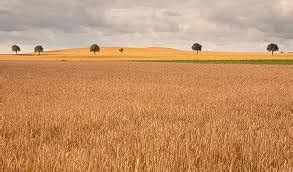 WRITTEN IN COLD BLOOD, BY TRUMAN CAPOTE- CAPT AJIT VADAKAYIL – CAPT ...