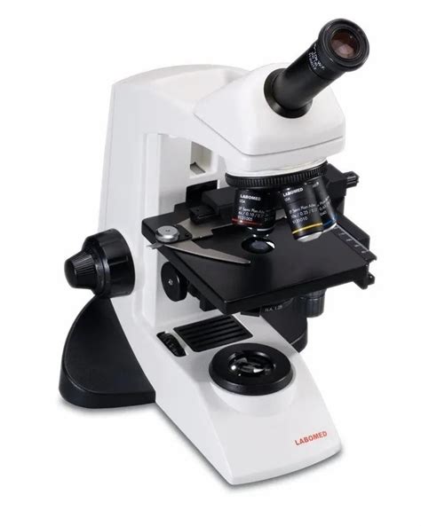 Image result for Mono Microscope