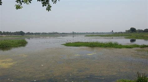 Motijheel Mosque and Cemetery, Murshidabad - Tripadvisor