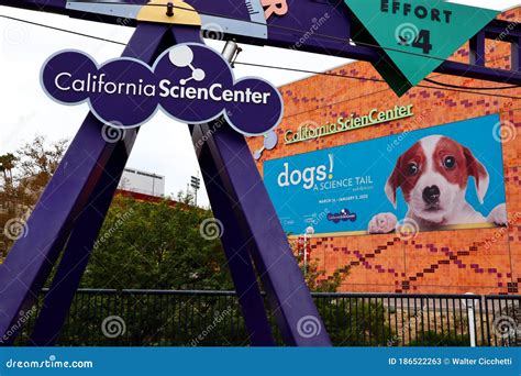 Printable Science Sign 的图像结果