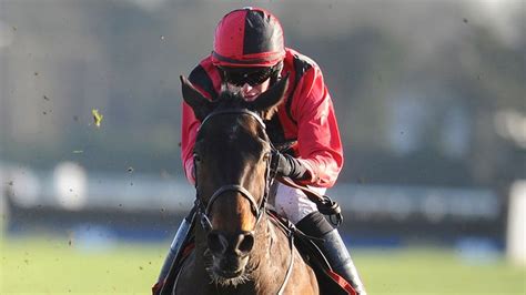 The Druids Nephew to aim for the stars | Racing News | Sky Sports