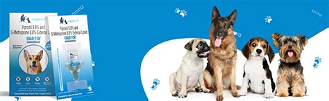 WIGGLES Eraditch Spot on for Dogs Fleas Ticks Remover Treatment Drops ...