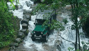 Best Resort in Kuttikkanam for an Unforgettable Stay | Misty Mountain ...