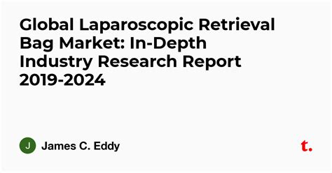 Global Laparoscopic Retrieval Bag Market: In-Depth Industry Research ...