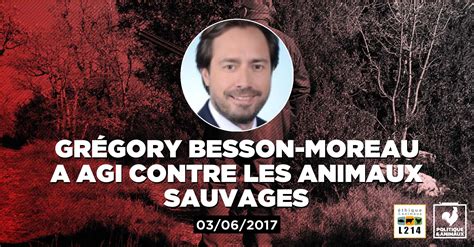 Image result for Gregory Besson Moreau