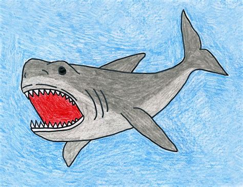 shark attack drawing easy