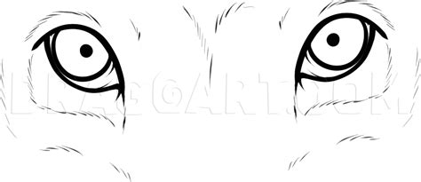 Image result for Single Frame First Frame Flow Control
