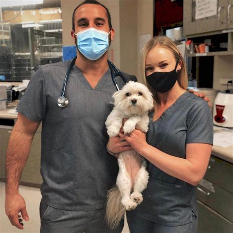 Gallery in North Las Vegas, NV | Ann Road Animal Hospital